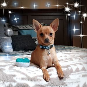 Meet your Posher, Ebony